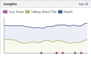 Facebook Business Page Insights