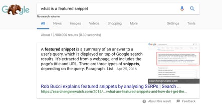 Featured Snippet Example