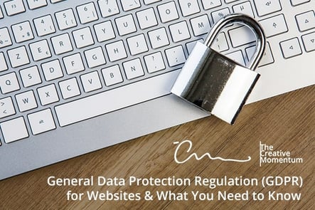 General Data Protection Regulation (GDPR) for Websites and What You Need to Know