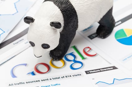 Have you been Pandalized? - Atlanta SEO Companies