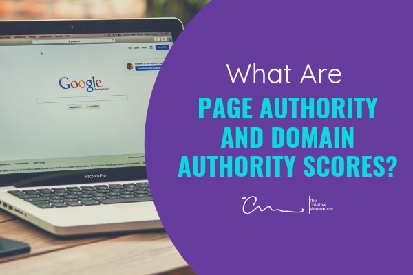 Page Authority and Domain Authority Scores