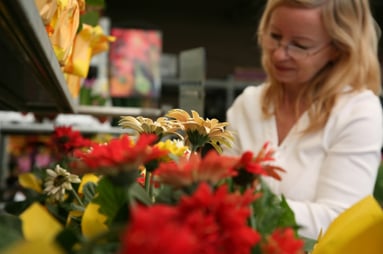 Small Business Social Media