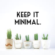 Small cacti in bowl vases - keep website design simple for optimal responsive design