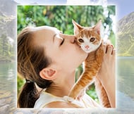 How do images affect web design perceptions? Woman kissing a cat - faces have important impacts on visitor perception