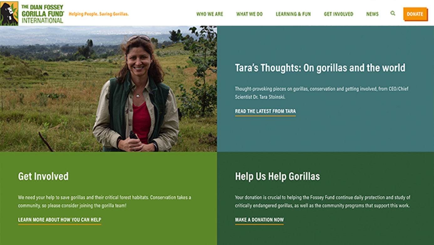 Dian Fossey Company | The Creative Momentum - Web Design & Digital Marketing