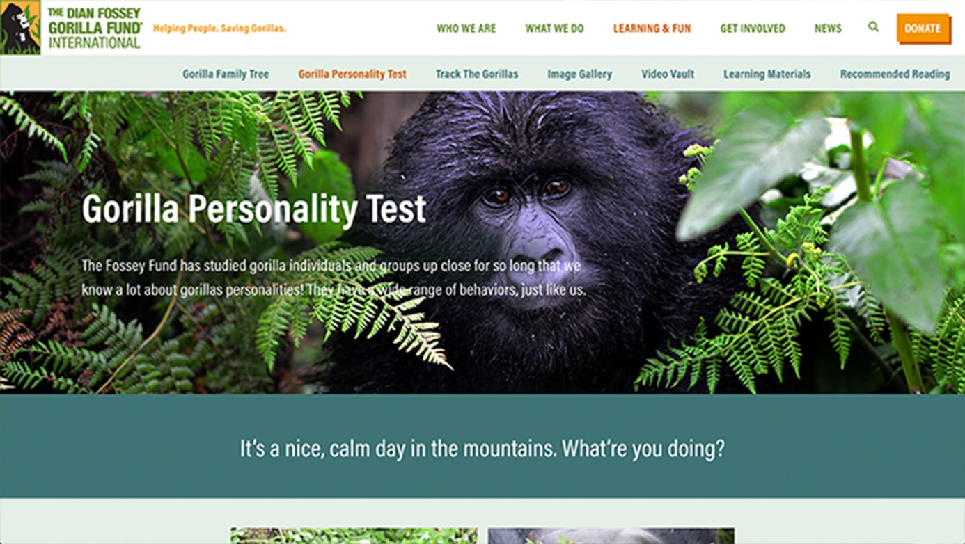 Dian Fossey Company | The Creative Momentum - Web Design & Digital Marketing