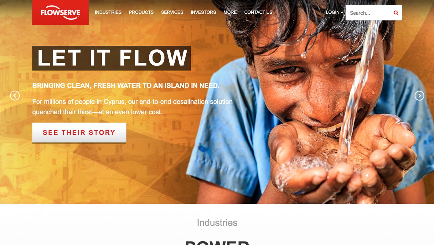Flowserve Company | The Creative Momentum - Web Design & Digital Marketin