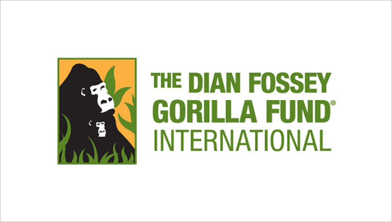 SEO Dian Fossey Gorilla Fund