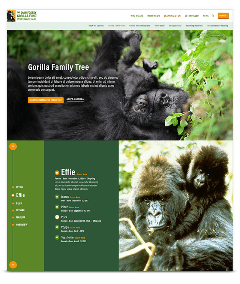 Dian Fossey Custom Wordpress Reponsive Design