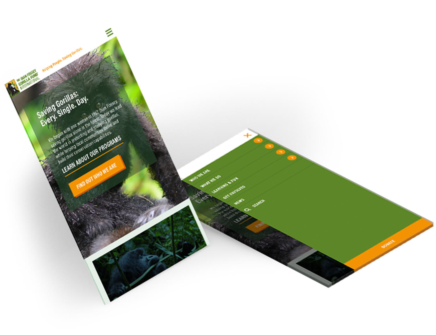 Dian Fossey Custom Wordpress Reponsive Design